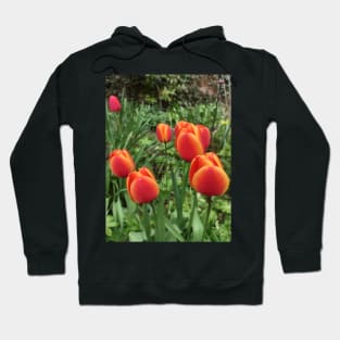 Tulips Hoodie